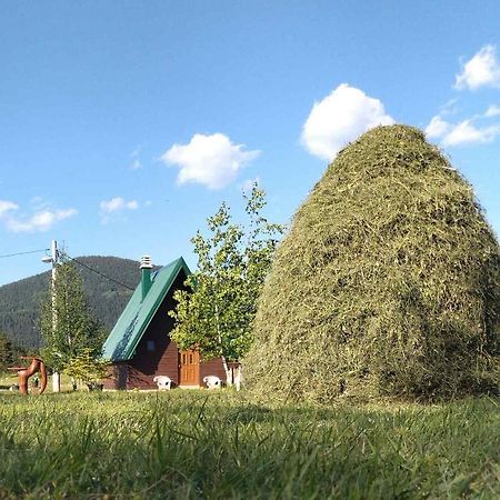 ŽabljakEtno Koliba Nikoleta别墅 外观 照片