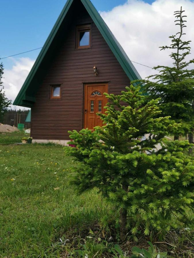 ŽabljakEtno Koliba Nikoleta别墅 外观 照片