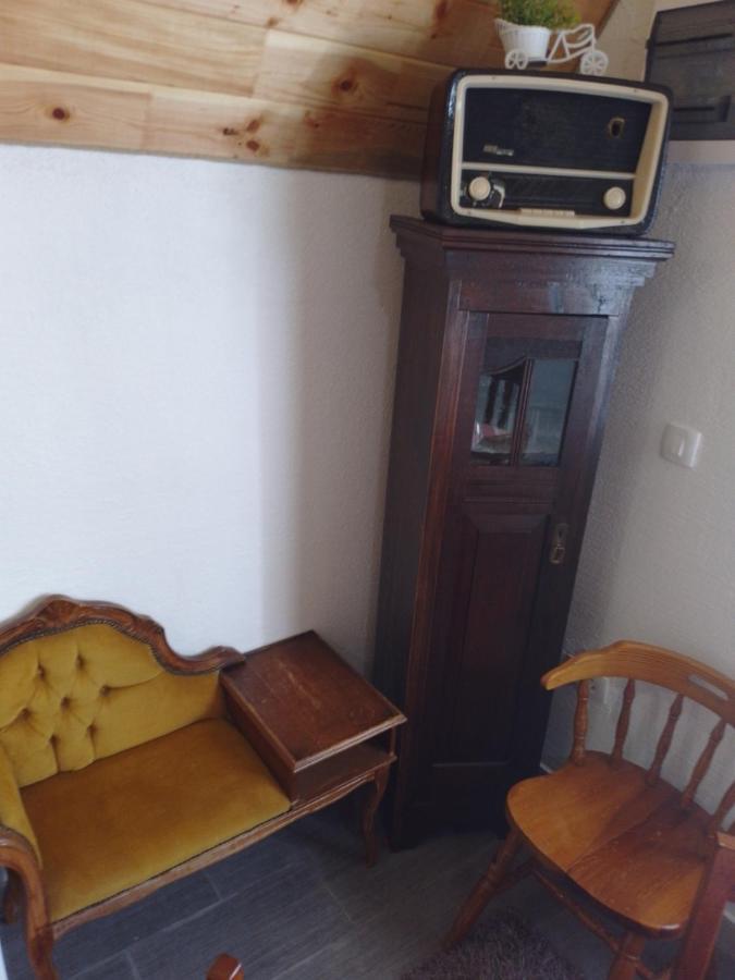 ŽabljakEtno Koliba Nikoleta别墅 外观 照片