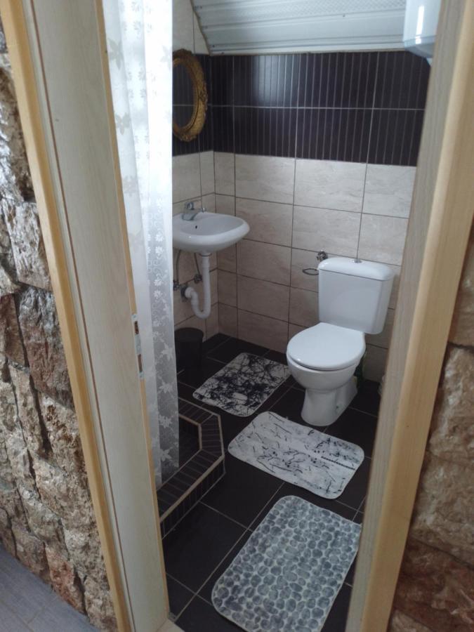 ŽabljakEtno Koliba Nikoleta别墅 外观 照片